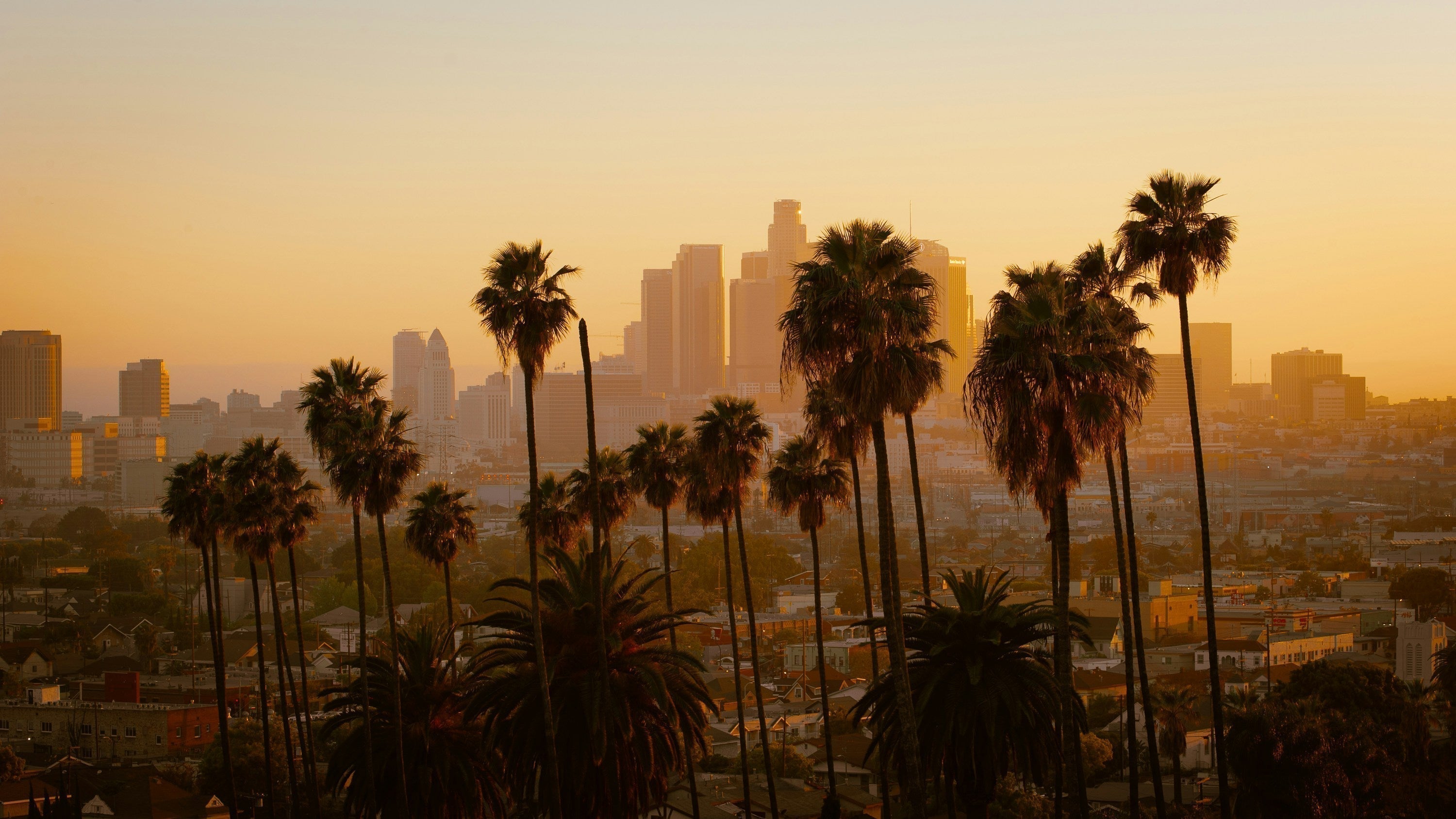 LOS ANGELES - Que voir et faire dans la Cité des Anges, future Ville Olympique ?