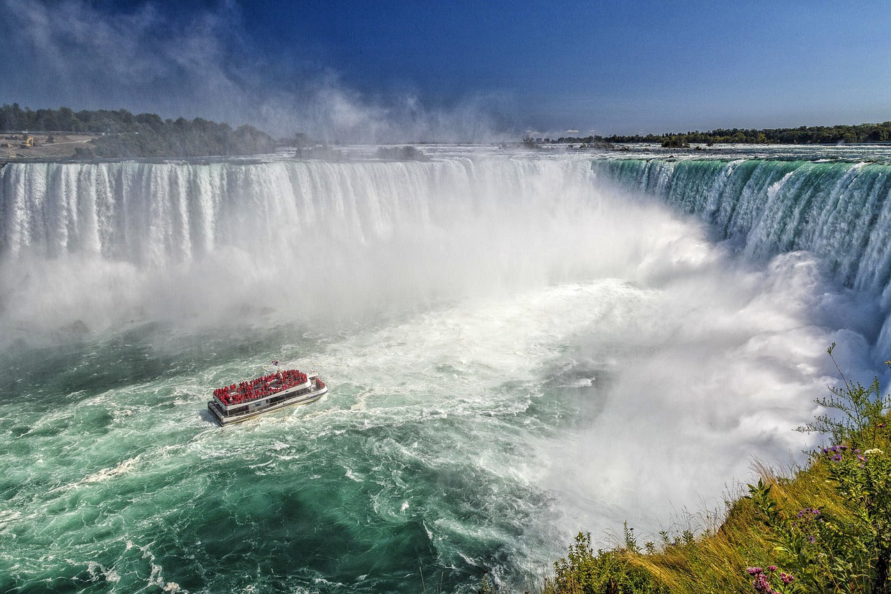 Voyage Toronto Raptors France X Gate One Voyages